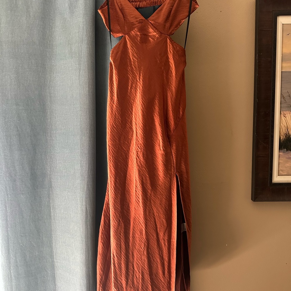 Chic Backless Rust Dress